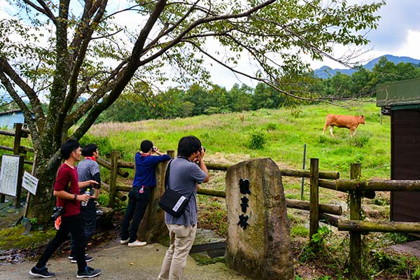 photo_minamiaso-01_005