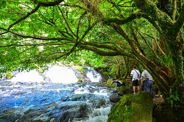 photo_minamioguni-02_006