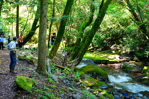 photo_minamioguni-02_008