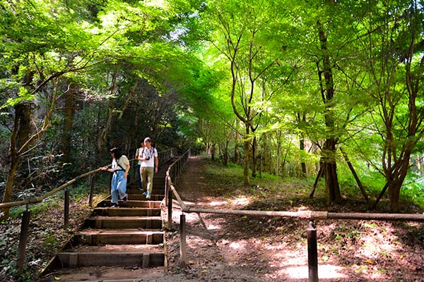 photo_nishihara-01_005