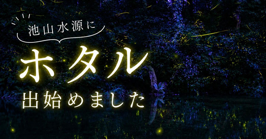 20260615_ubuyama_firefly_01