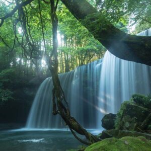 鍋ケ滝公園８月の完全予約制実施日